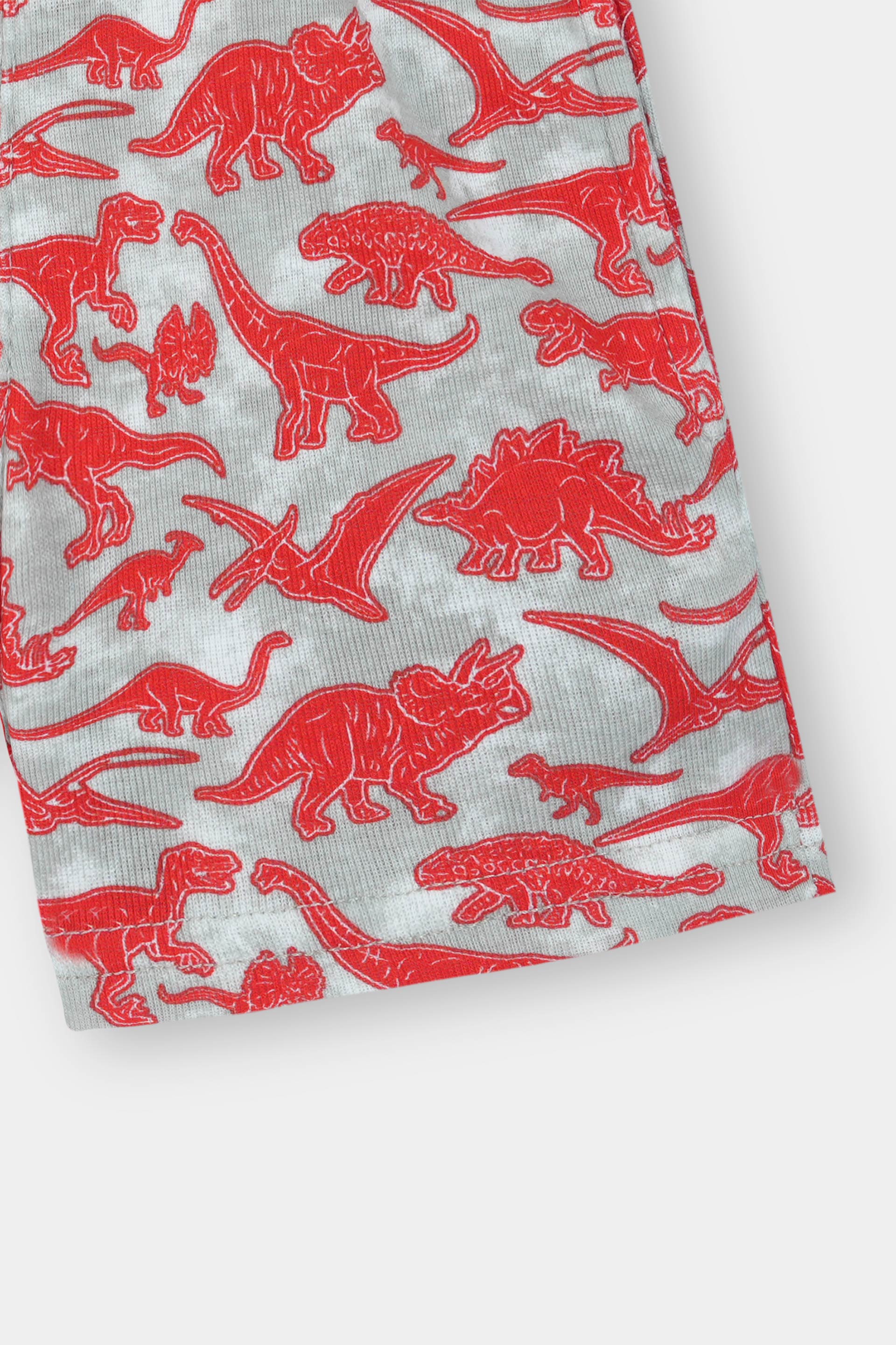 Red Dinosaur Niker Suit Boys