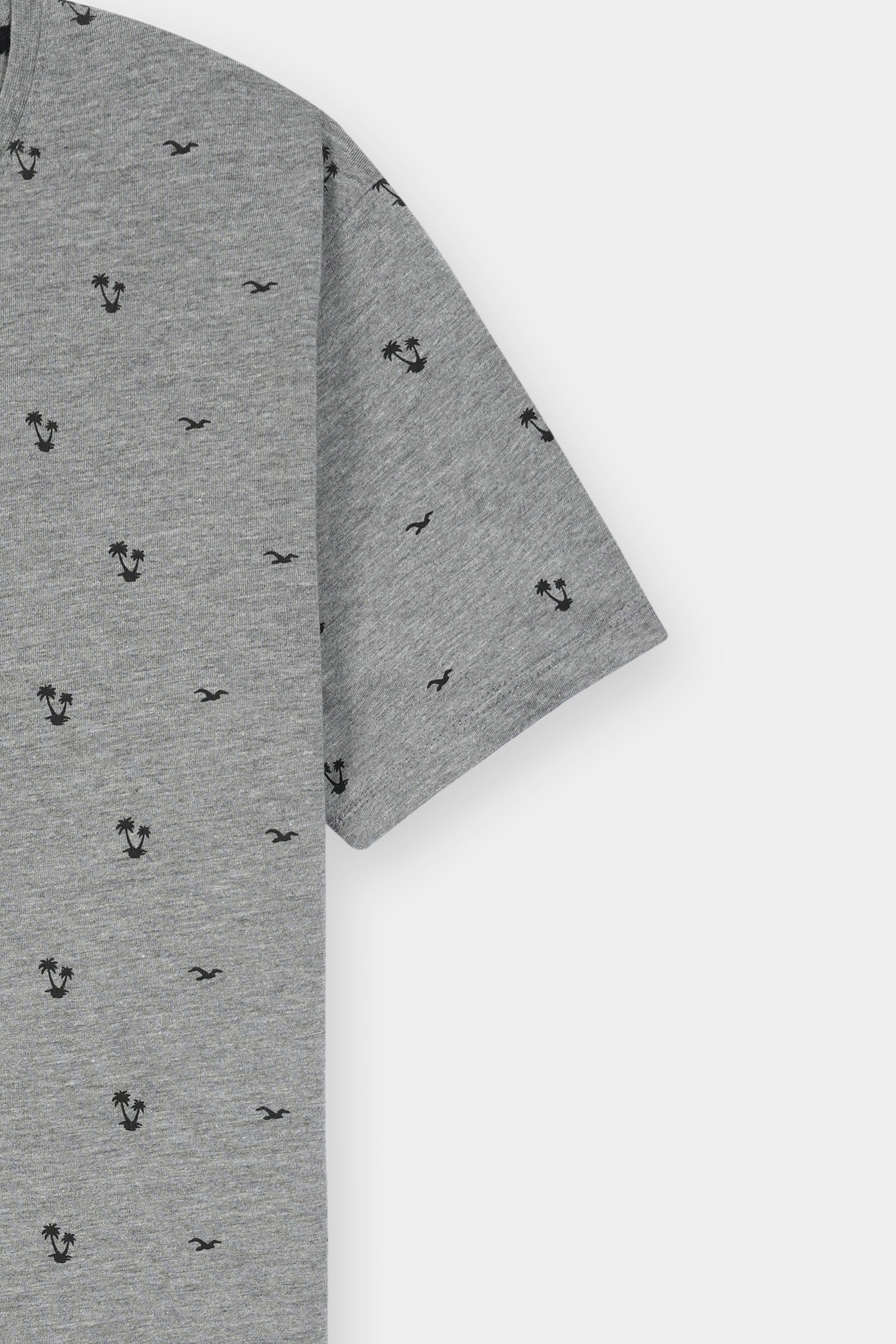 Grey T-Shirt Boys