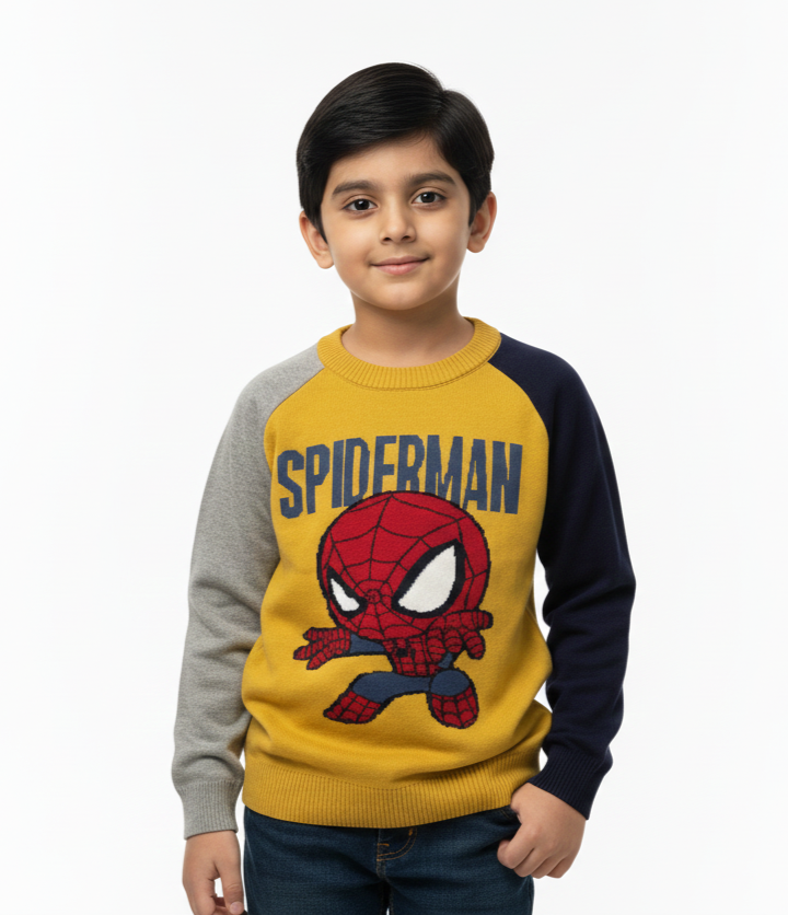 Spiderman Sweater Boys